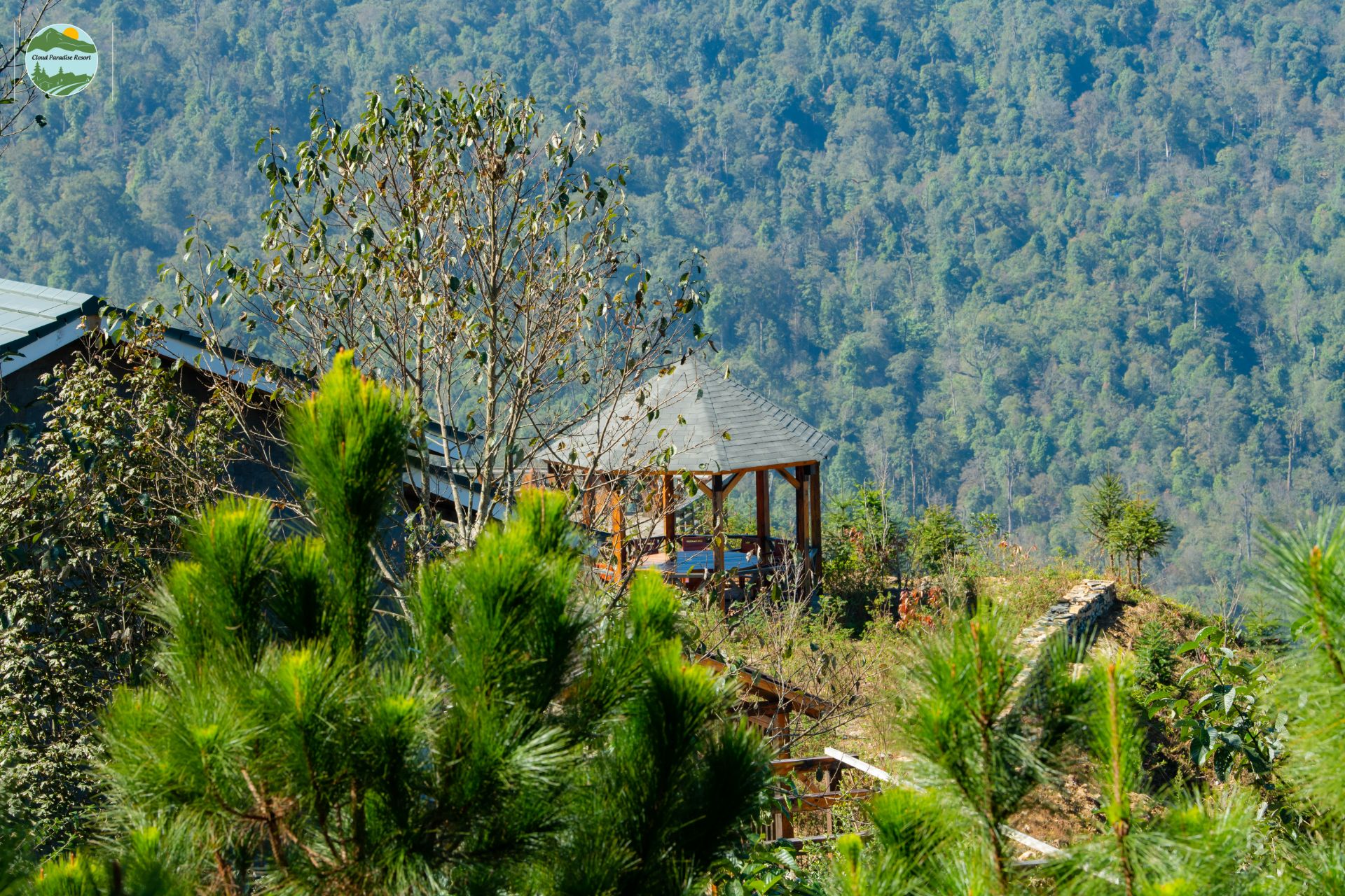 Cloud Season Festival 2025: A Magical Gathering Above the Clouds